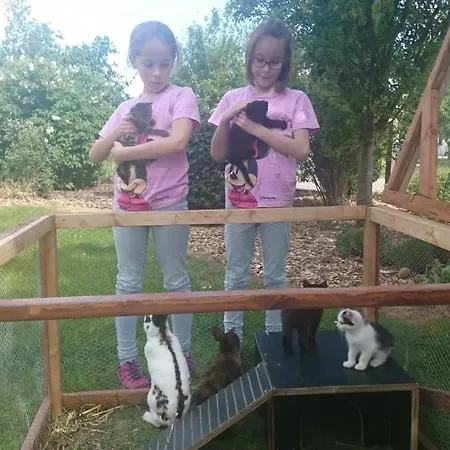 Appartement Landhof Kling